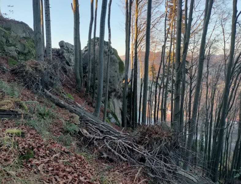 Zricenina Hradu Klenov, Czech Republic (Czechia)